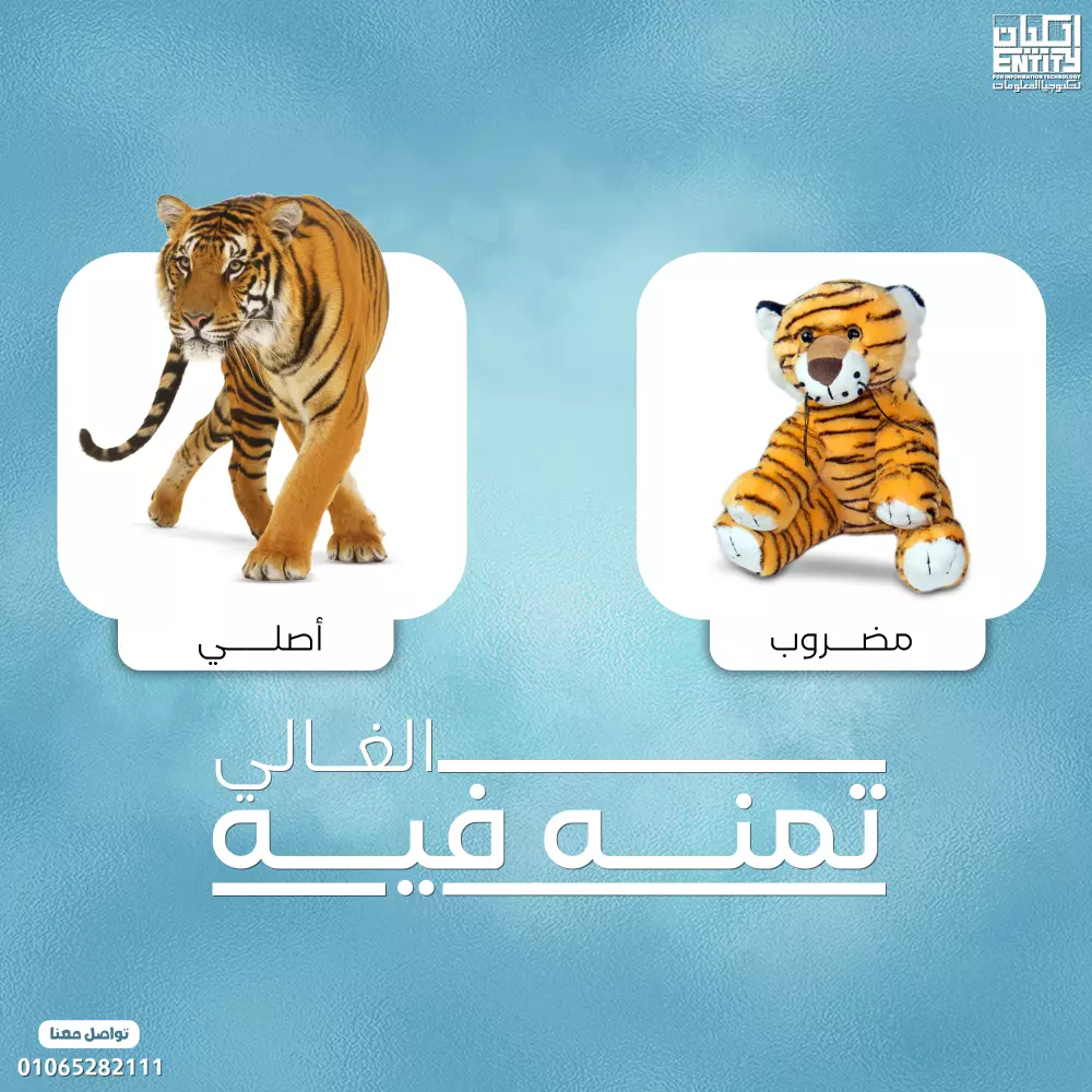 تصميم بوست سوشيال ميديا احترافي