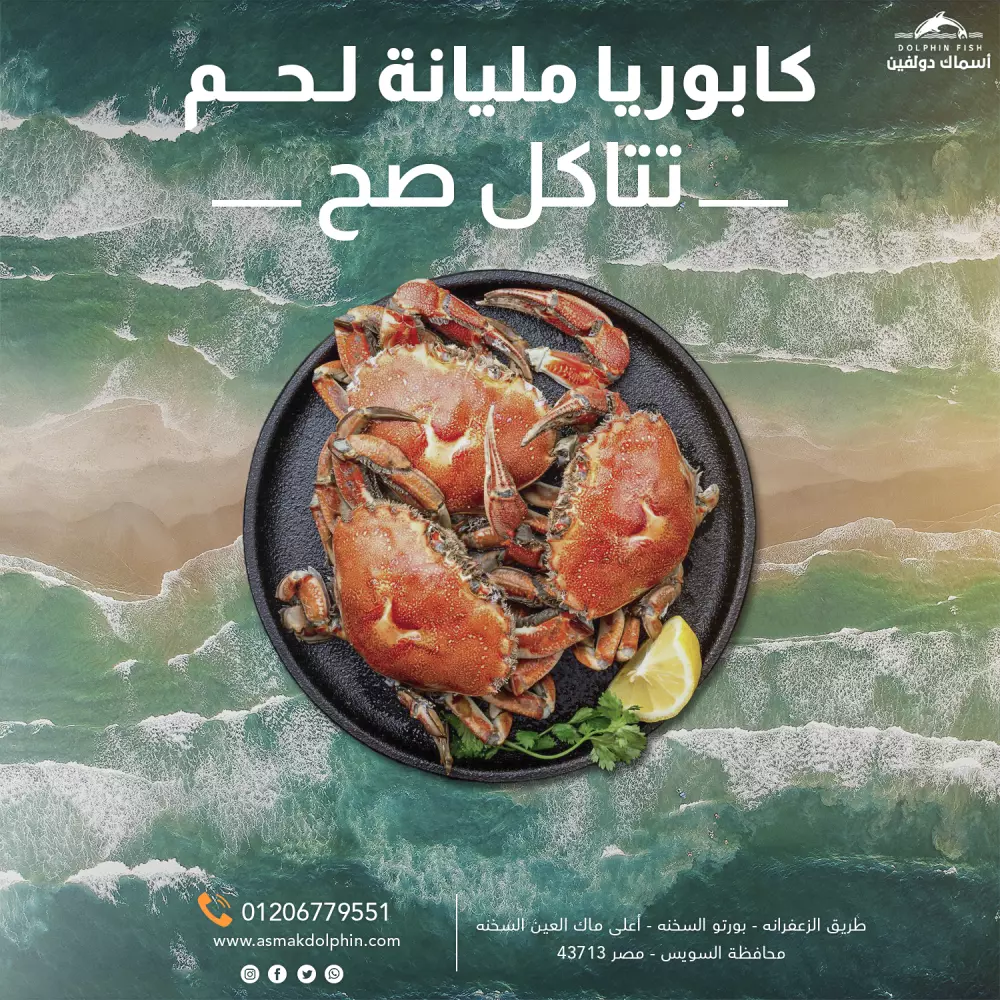 تصميم بوست سوشيال ميديا احترافي