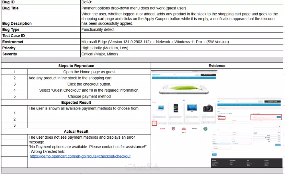 اختبار يدوى شامل لمواقع الويب مع تقرير مفصلSoftware Tester