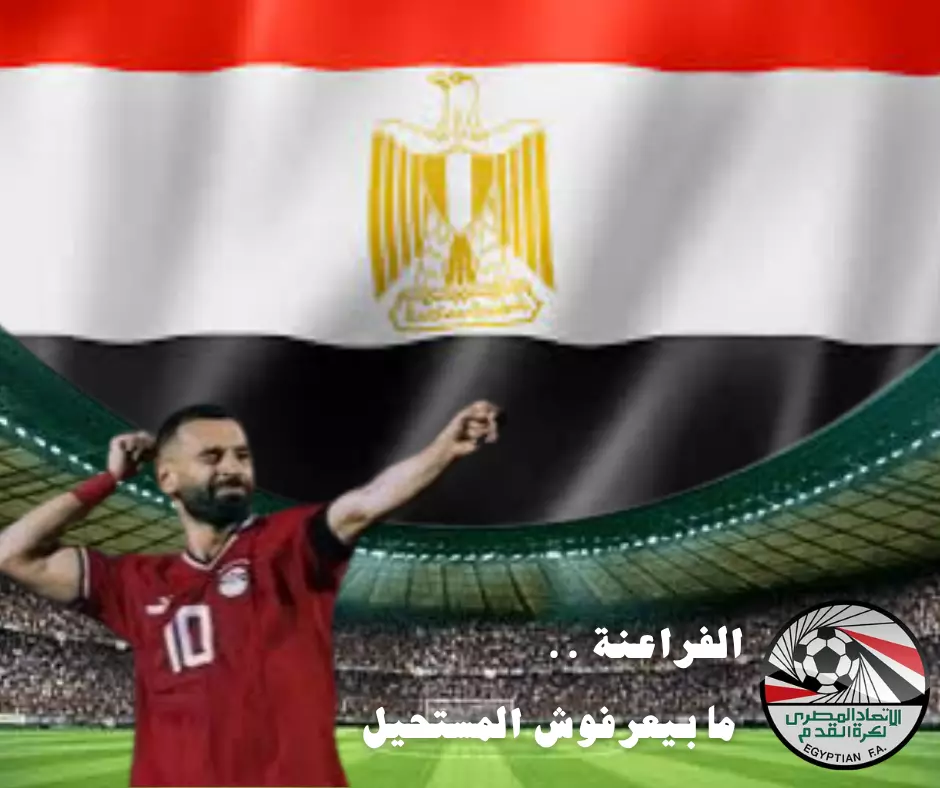 تصميم منشورات سوشيال ميديا احترافية باستخدام Canva