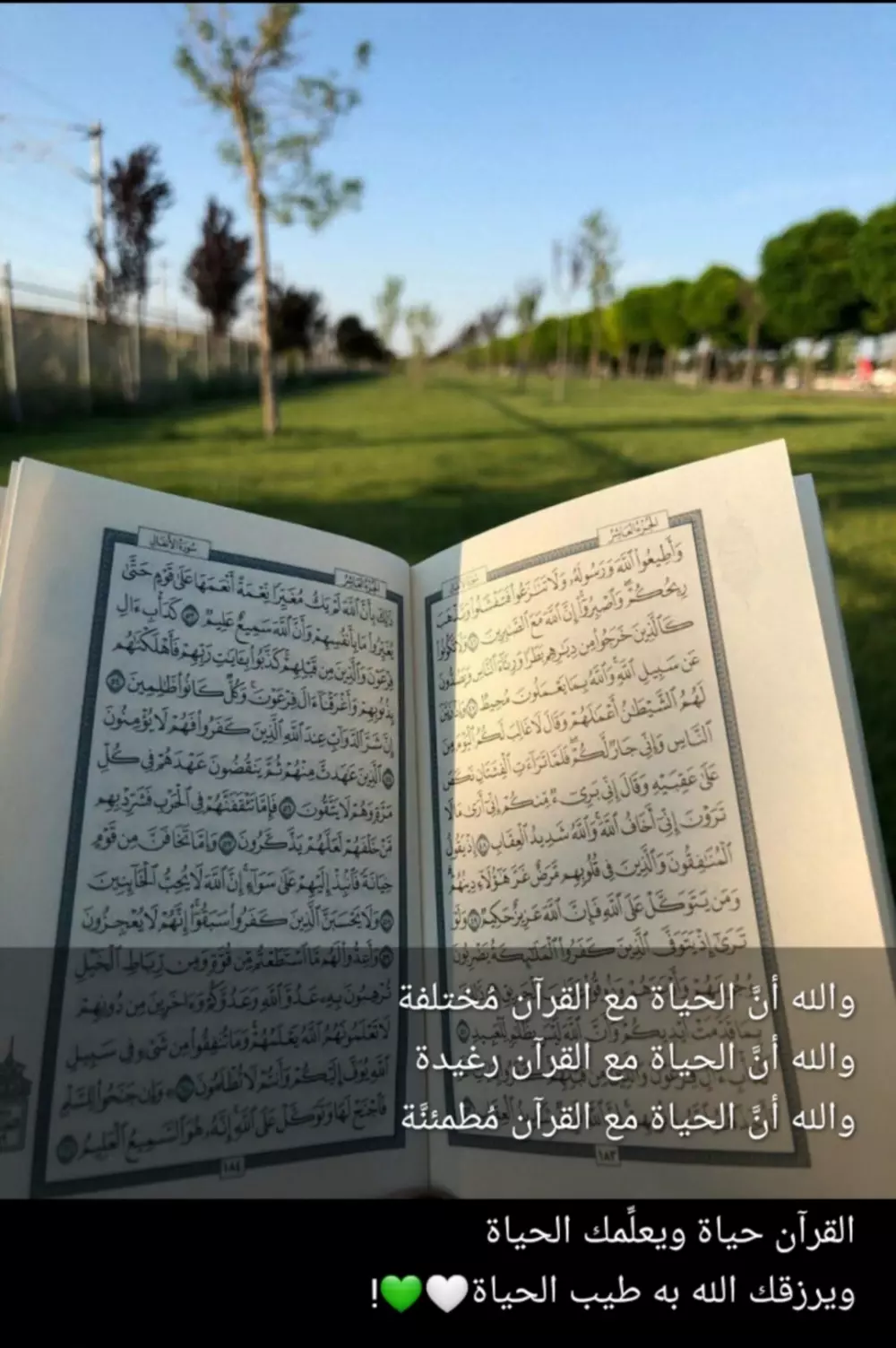 تلقين الصغار القرآن