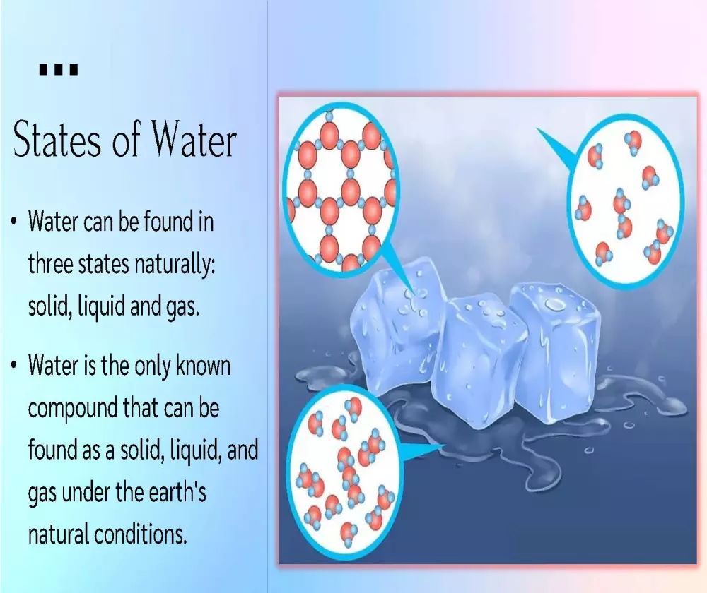 مساعدة فى كتابة و تصميم و تنسيق عروض بوربوينت Powerpoint