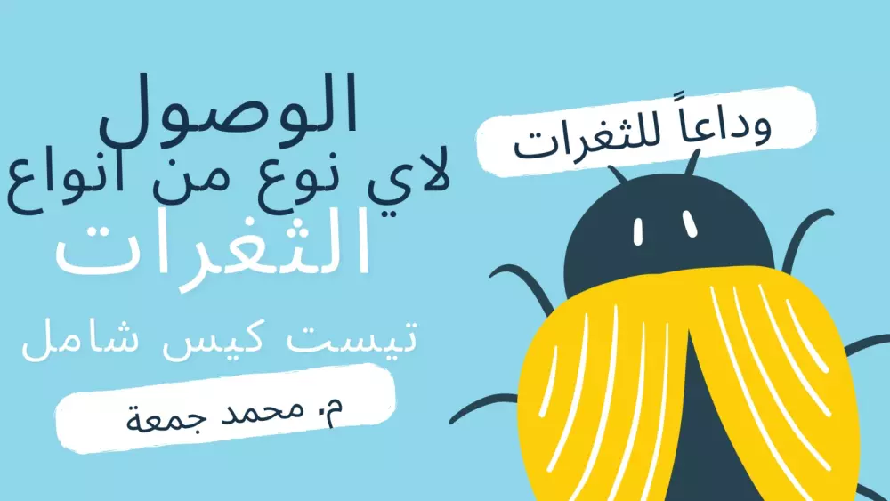 خدمة اختبار يدوي (Manual Testing)