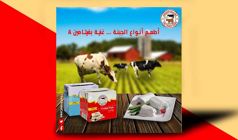 تصميمات مبتكرة لوسائل التواصل الاجتماعي