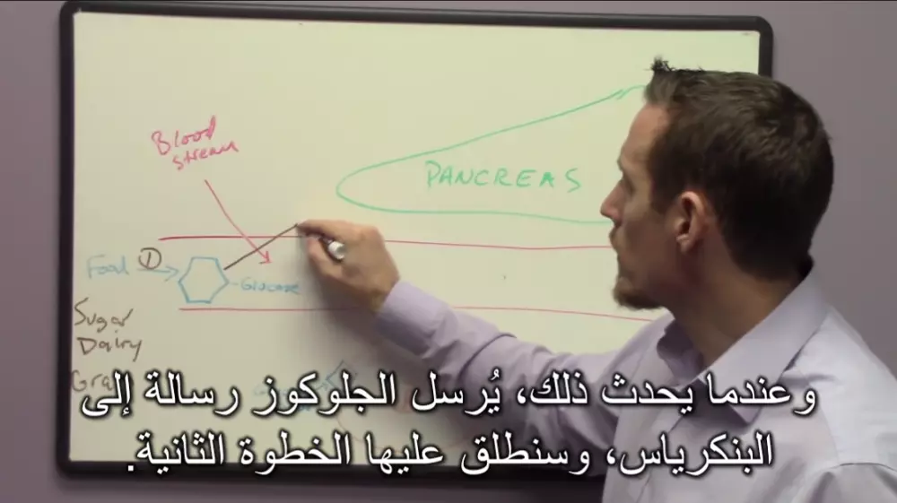الترجمة المرئية للفيديوهات العربية والإنجليزية