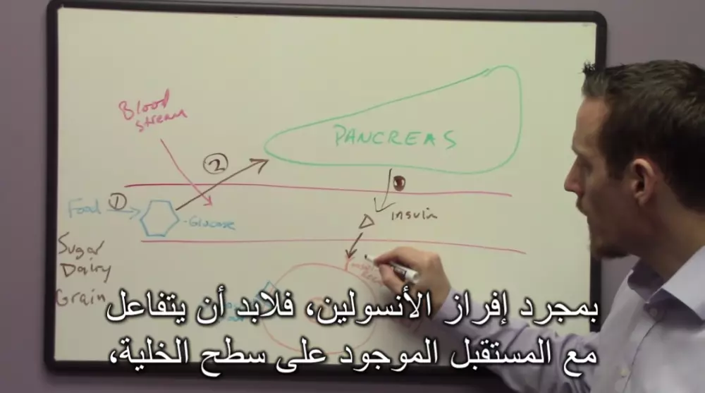 الترجمة المرئية للفيديوهات العربية والإنجليزية