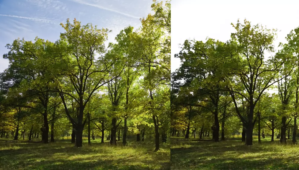 قص وتفريغ صور المنتجات بدون شوائب وبأعلى جودة