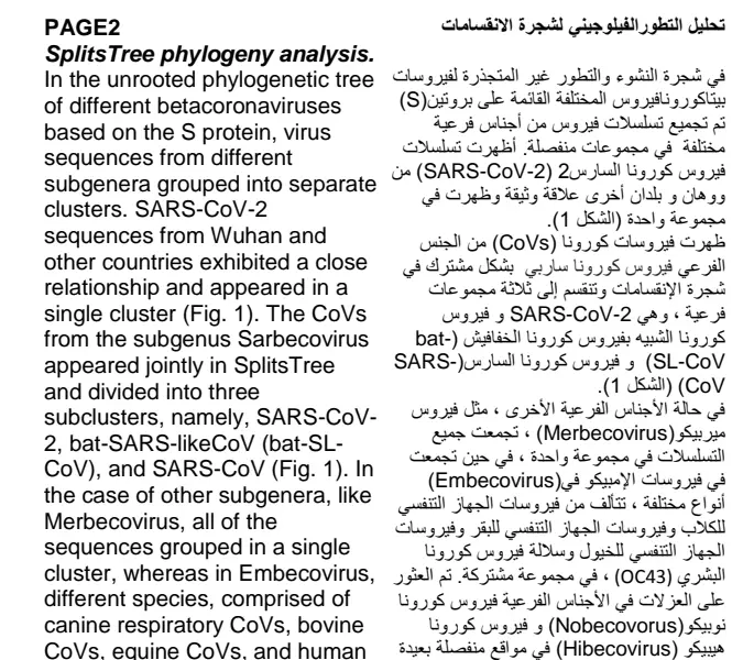 ترجمة النصوص والملفات من اللغة الإنجليزية إلى العربية أو العكس