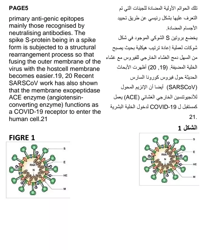 ترجمة النصوص والملفات من اللغة الإنجليزية إلى العربية أو العكس