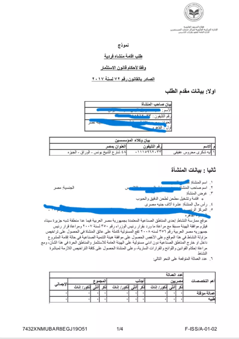 تأسيس الشركات في مصر