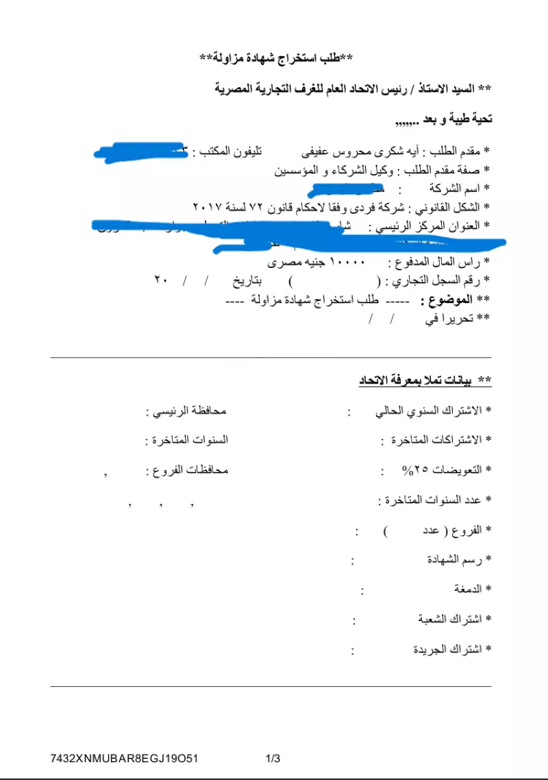 تأسيس الشركات في مصر