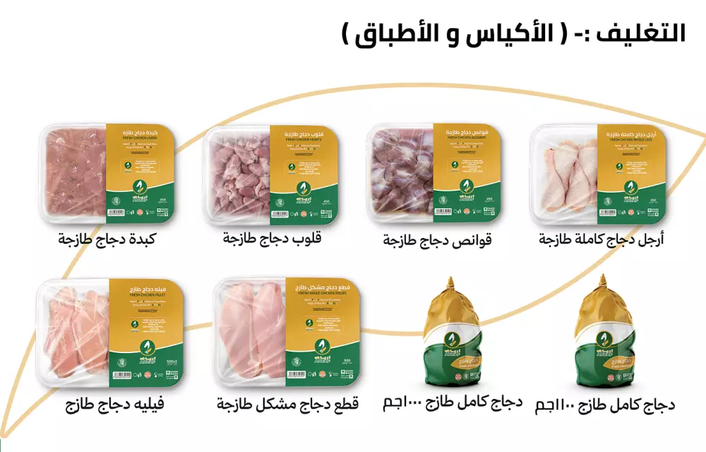 تصميم هوية بصرية احترافية لعلامتك التجارية | Professional Visual Identity Design