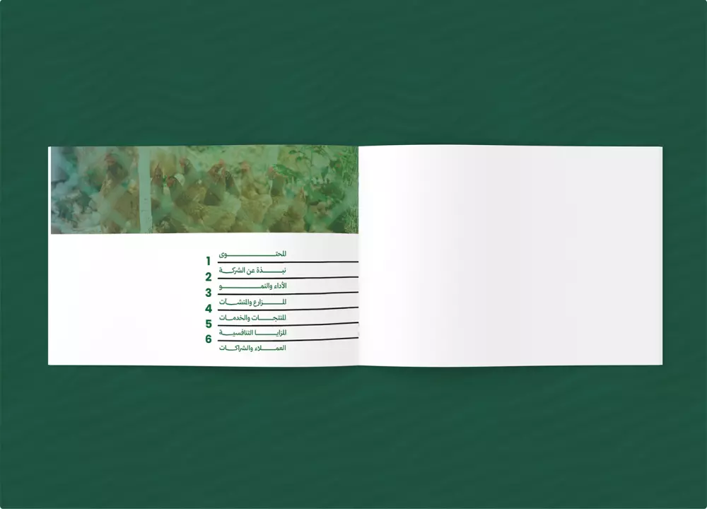 تصميم هوية بصرية احترافية لعلامتك التجارية | Professional Visual Identity Design