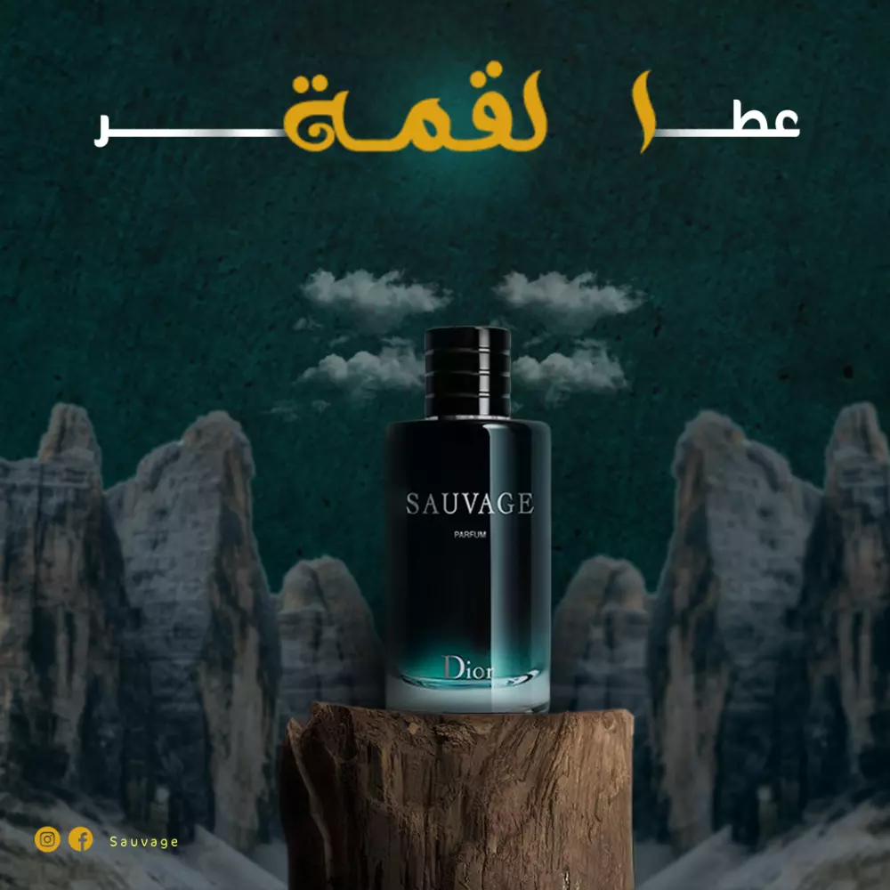 تصميم  بوستات سوشل ميديا احترافية