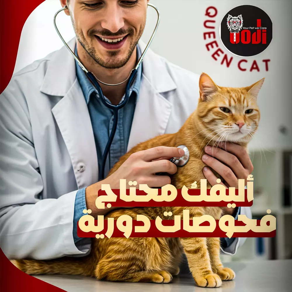 تصميمات سوشيال ميديا بفكرة مختلفة لتوصيل الرسالة بطرق مبتكرة