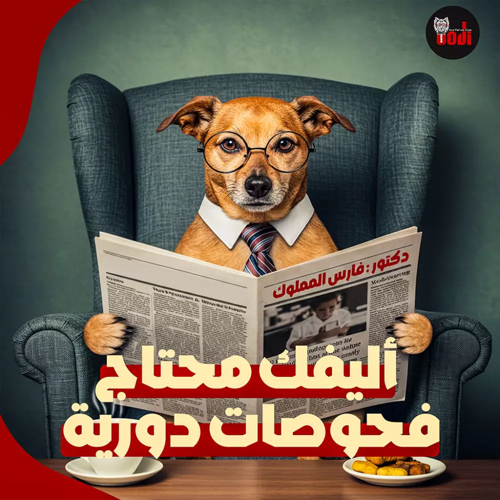 تصميمات سوشيال ميديا بفكرة مختلفة لتوصيل الرسالة بطرق مبتكرة