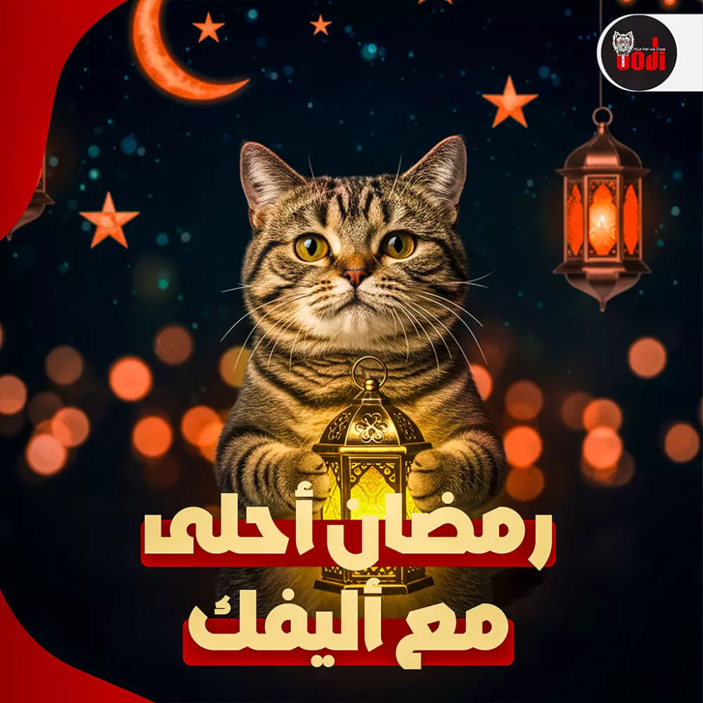 تصميمات سوشيال ميديا بفكرة مختلفة لتوصيل الرسالة بطرق مبتكرة