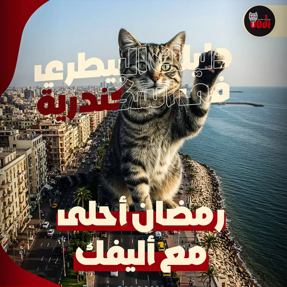 تصميمات سوشيال ميديا بفكرة مختلفة لتوصيل الرسالة بطرق مبتكرة