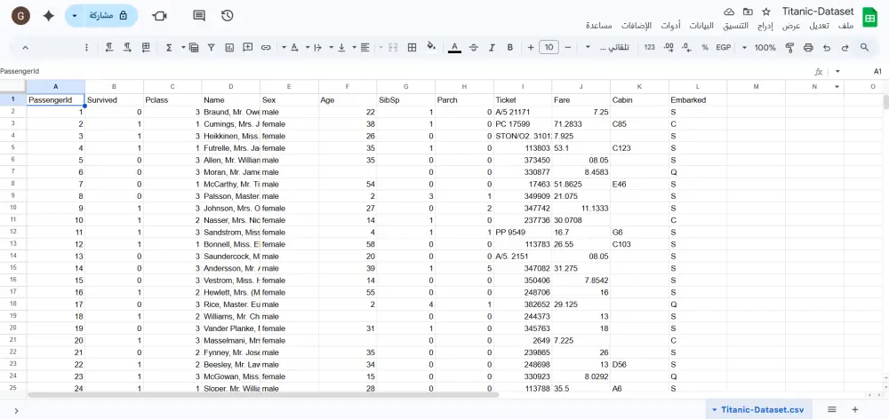 إدخال البيانات Data Entry بدقة وسرعه في Excel