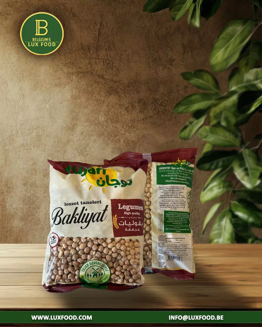 تصميم منشورات سوشيال ميديا