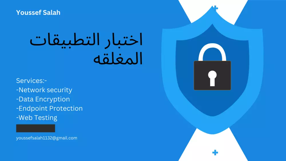 خدمة اختبار اختراق شاملة لمواقع الويب