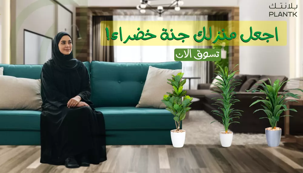 تصميمات جرافيك احترافية بجودة عالية وسرعة في التسليم
