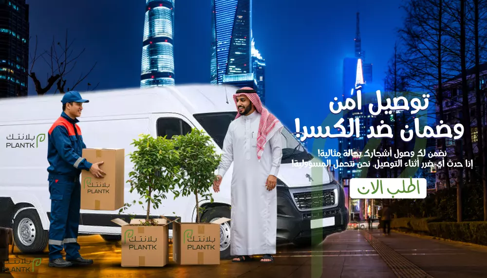 تصميمات جرافيك احترافية بجودة عالية وسرعة في التسليم