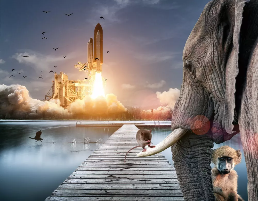 عيش الخيال أو الواقع في قصة قصيرة أكتبها خصيصا لك