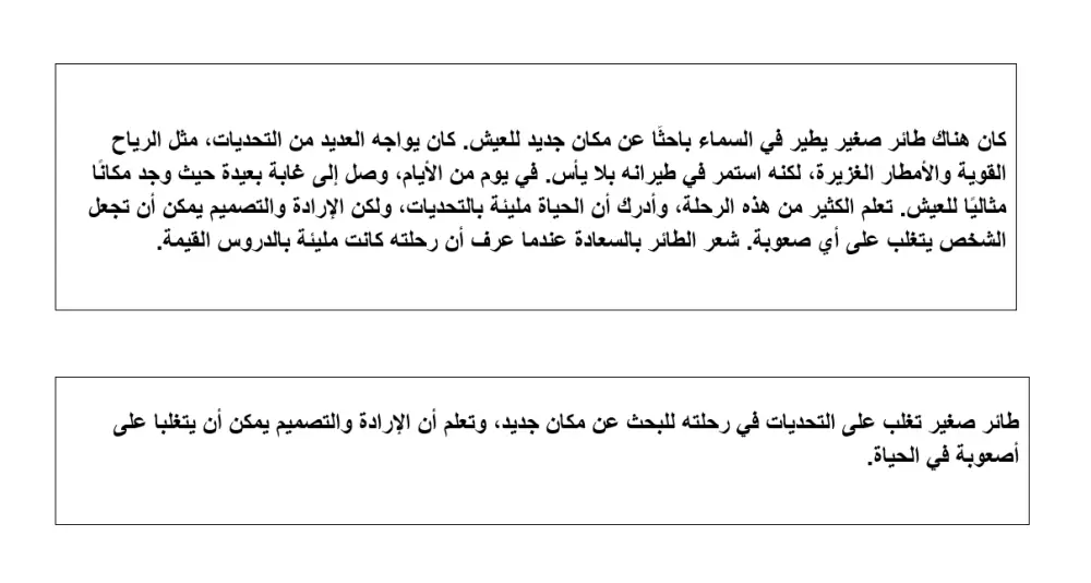تلخيص شامل واحترافي بالعربية والإنجليزية