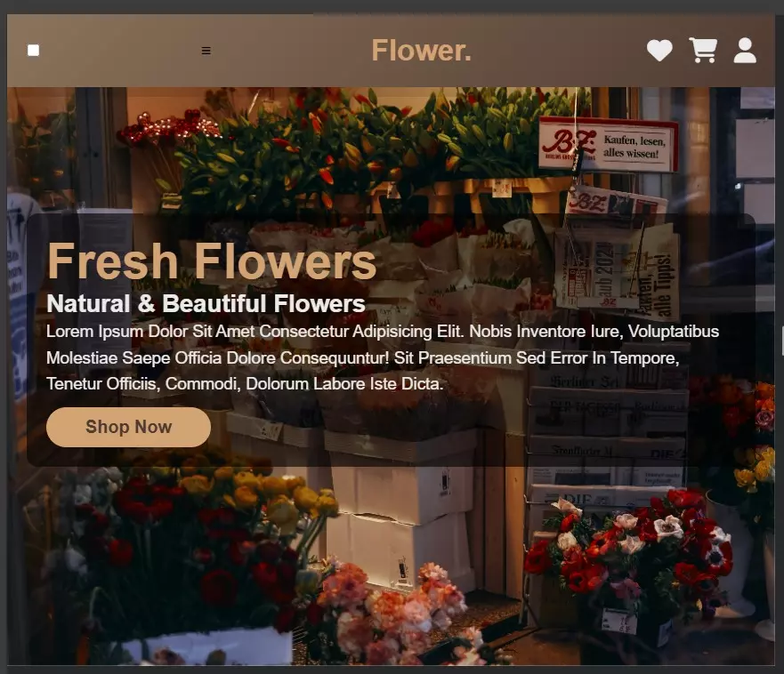 تصميم صفحات ويب