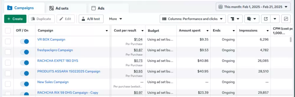 إدارة حملة إعلانية ممولة في فيسبوك وانستغرام.