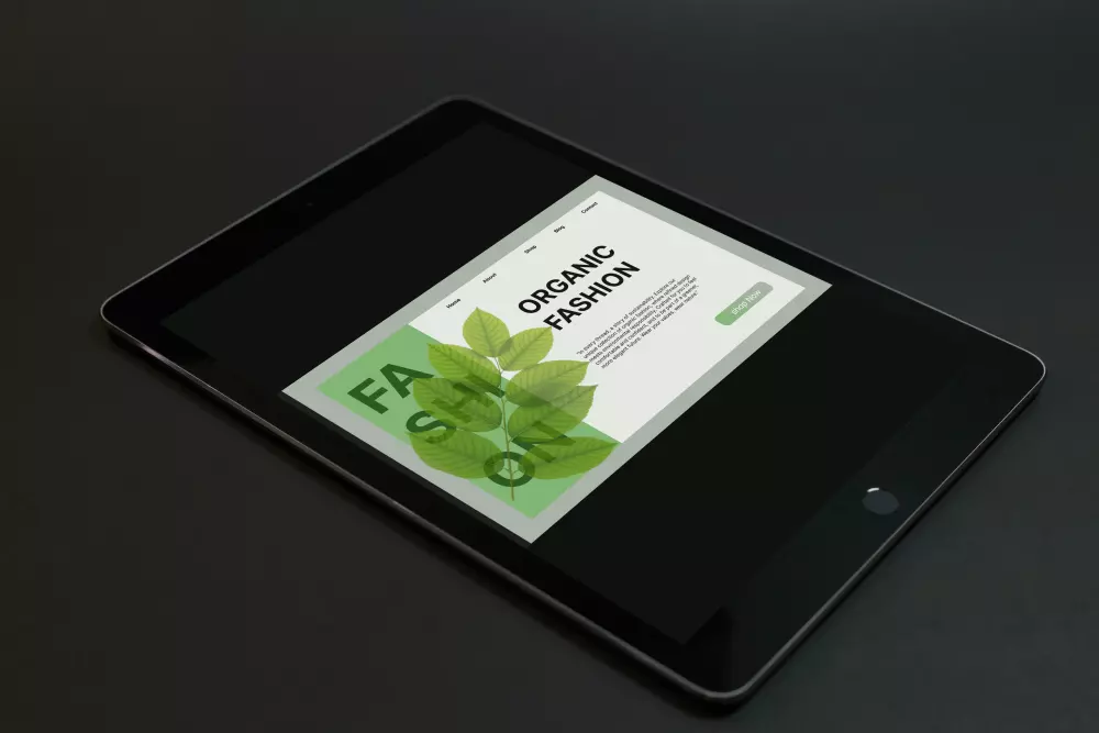 تصميم صفحه هبوط فيجما