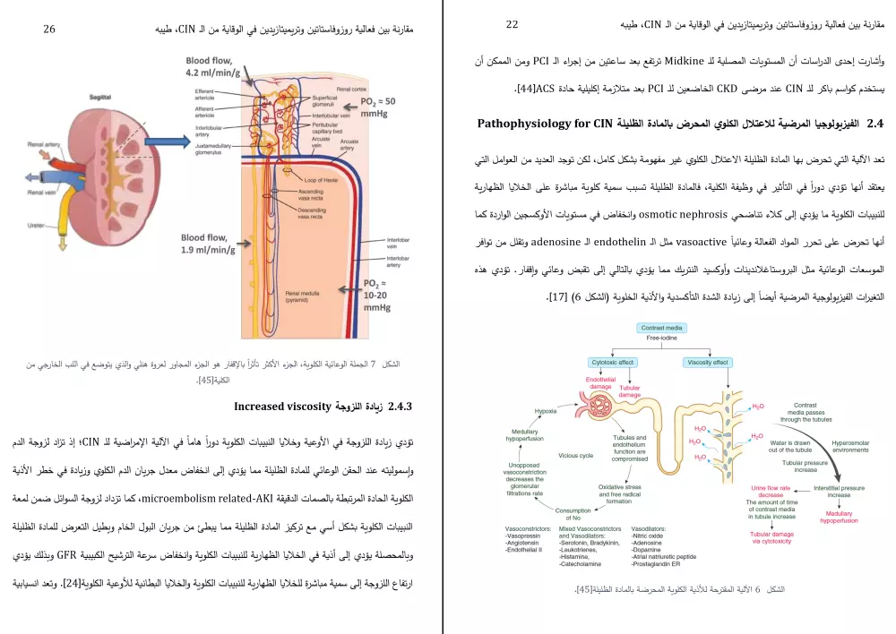 كتابة بحث علمي طبي أكاديمي متكامل باللغتين العربية والإنكليزية