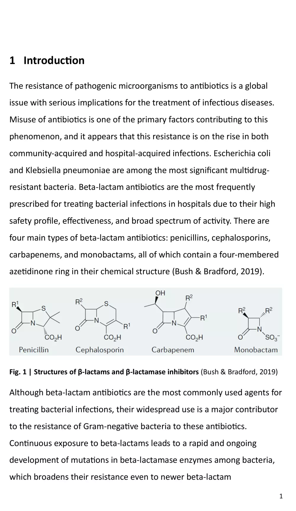 كتابة بحث علمي طبي أكاديمي متكامل باللغتين العربية والإنكليزية