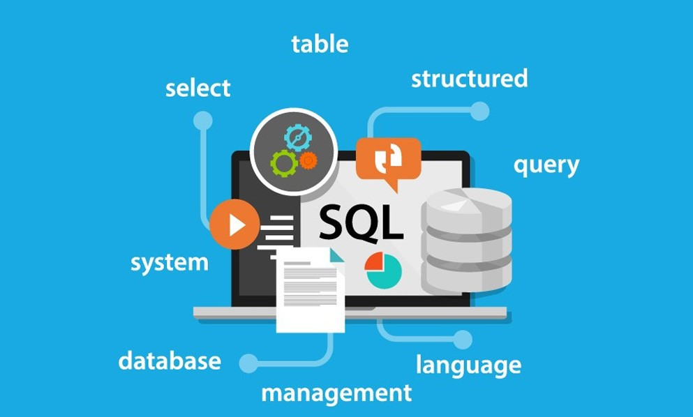 بناء وتنظيم قواعد البيانات للمواقع (Database Management System)