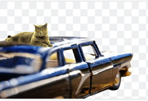 إزالة الخلفية الأصلية للفيديوهات وإنشاء خلفية أخرى حسب ذوقك