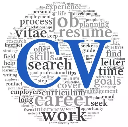 Professional CV & Resume Creation
