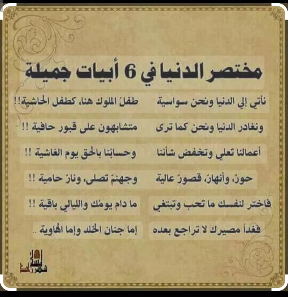 تقييمات جوجل