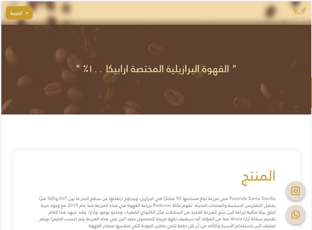 تصميم صفحات ويب احترافية للشركات والمنتجات