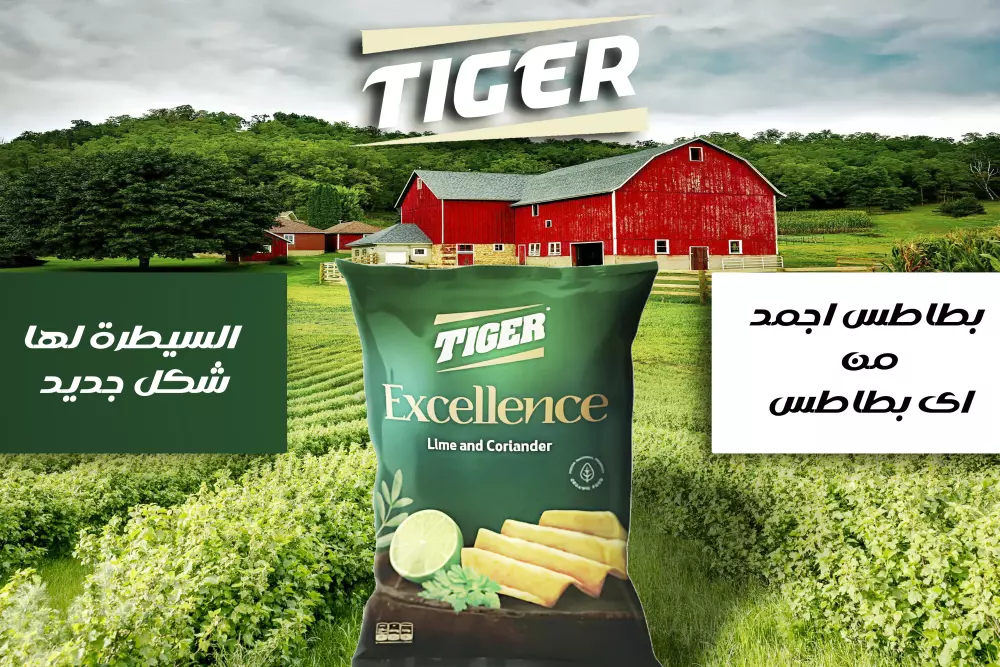 🎨 تصميم سوشيال ميديا احترافي بأفكار إبداعية | جاهز للنشر بجودة عالية