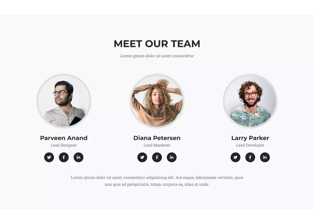 صفحة هبوط احترافية Landing Page لموقع للخدمات الرقمية