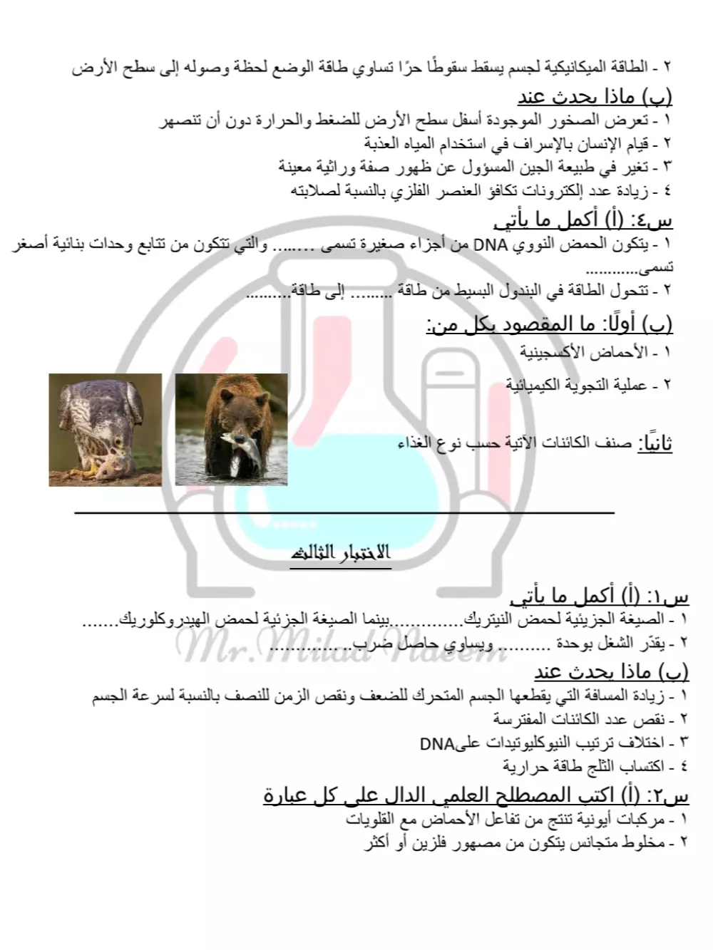 كتابة مذكرات أو مراجعات نهائية على Word (صفحتين مقابل 5 دولار)