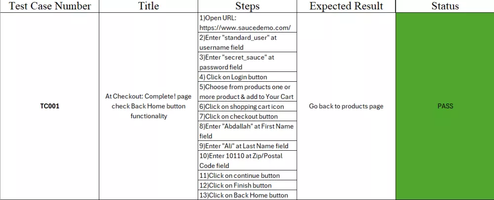 Manual Testing for Website