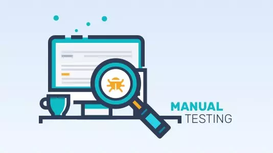 Manual Testing for Website