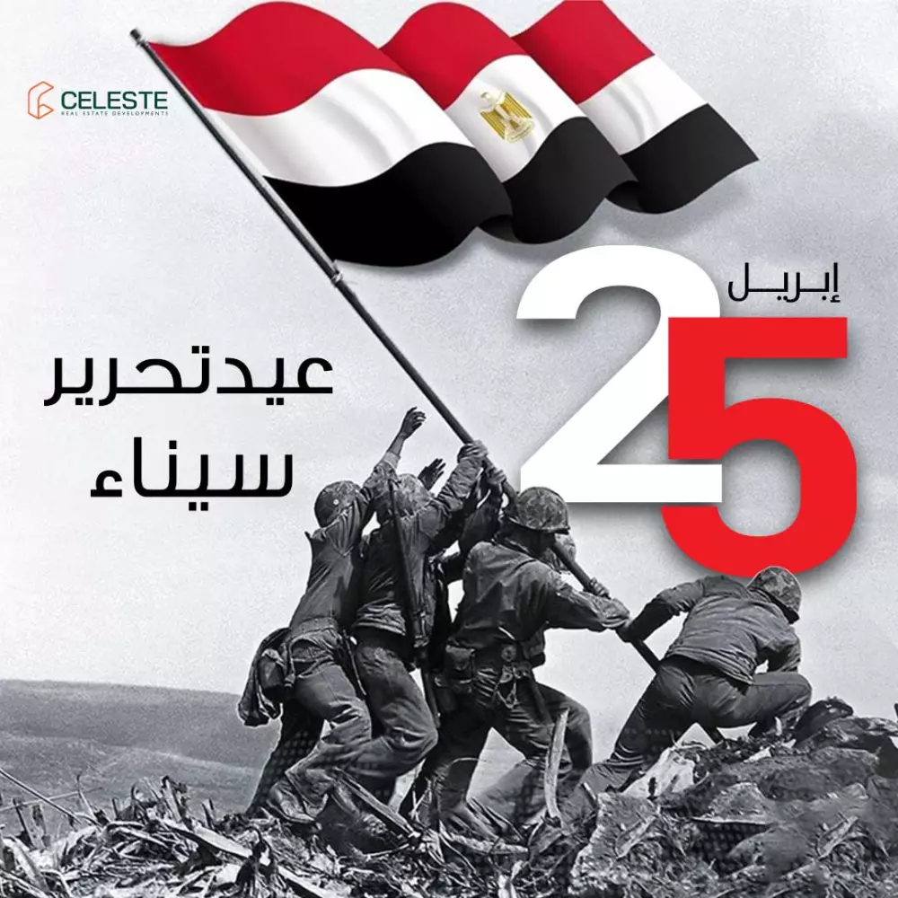 تصميم بوستات