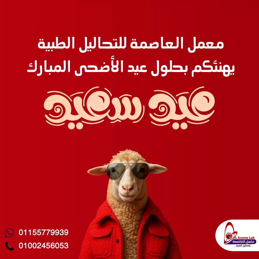 تصميمات سوشيال ميديا