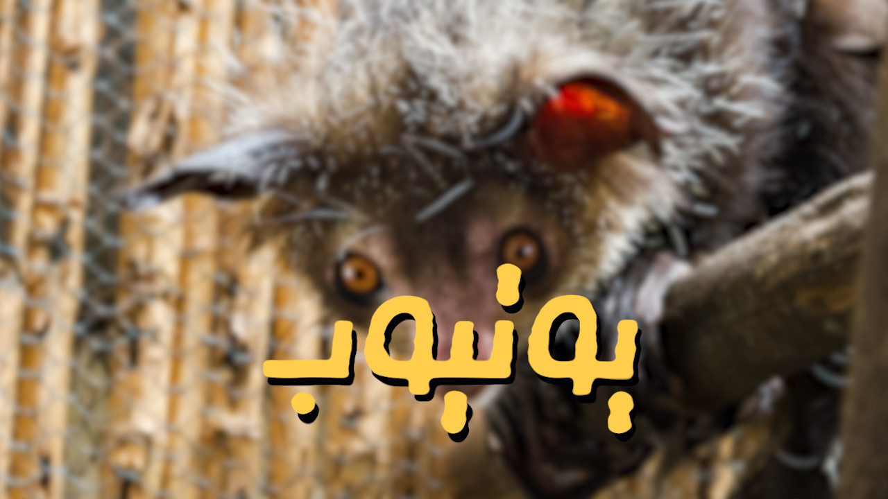 تعليق صوتي احترافي لقنوات اليوتيوب جودة عالية وتسليم سريع