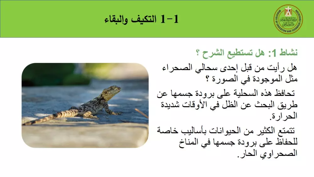 تصميم عروض PowerPoint احترافية تناسب جميع احتياجاتك (باقات متعددة)