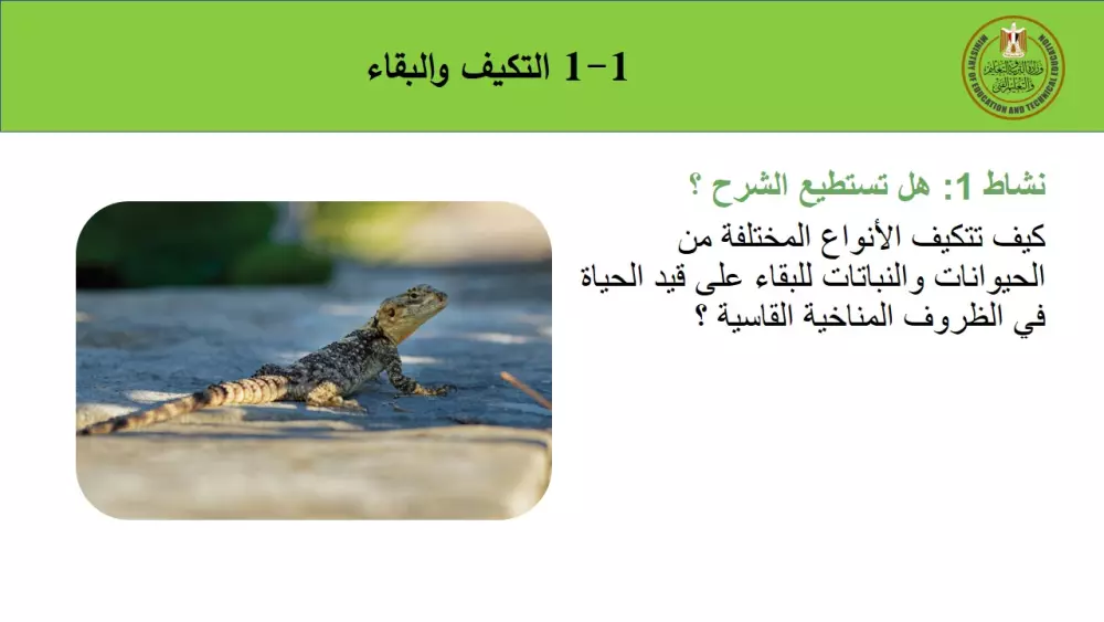 تصميم عروض PowerPoint احترافية تناسب جميع احتياجاتك (باقات متعددة)