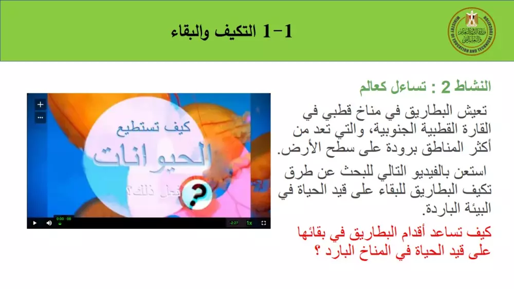 تصميم عروض PowerPoint احترافية تناسب جميع احتياجاتك (باقات متعددة)